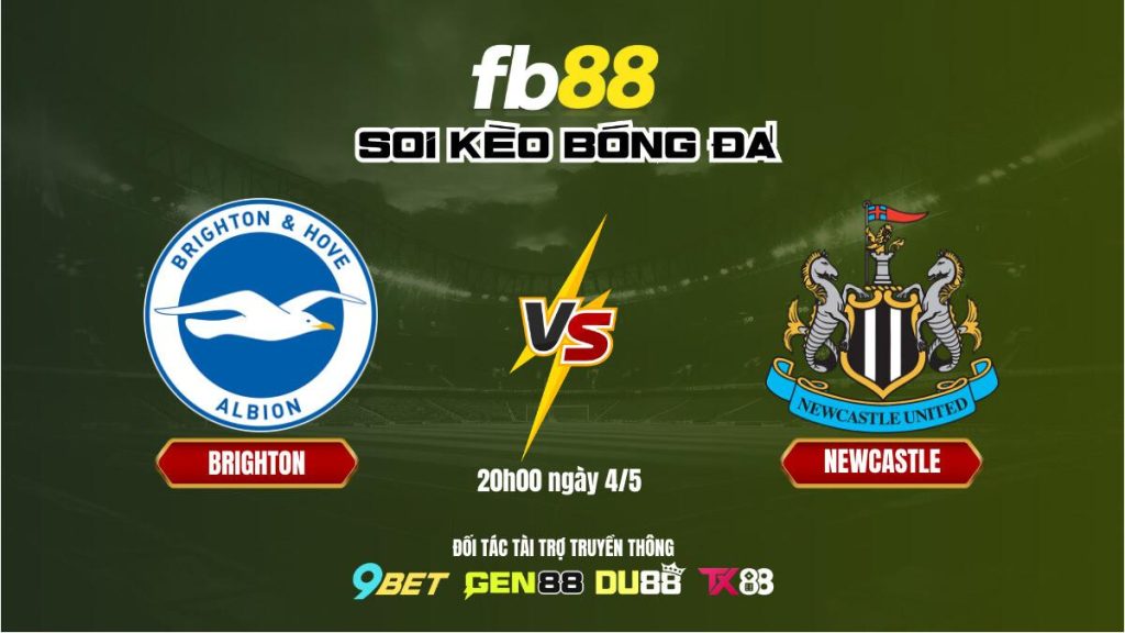 Soi kèo Brighton vs Newcastle