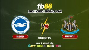 Soi kèo Brighton vs Newcastle